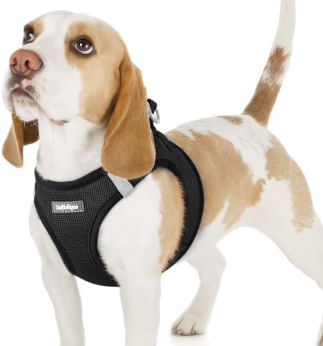 rabbitgoo Step-in Small Dog Harness, Puppy Vest for Small Sized Pet by rabbitgoo