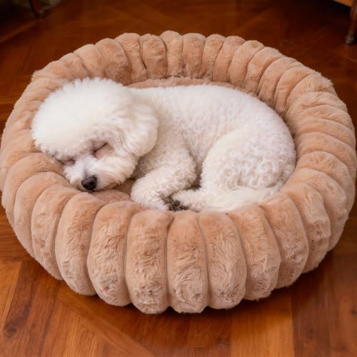 Donut Small Dog Bed Round Calming Kitten & Puppy Bed,20in Brown by VhenWhen