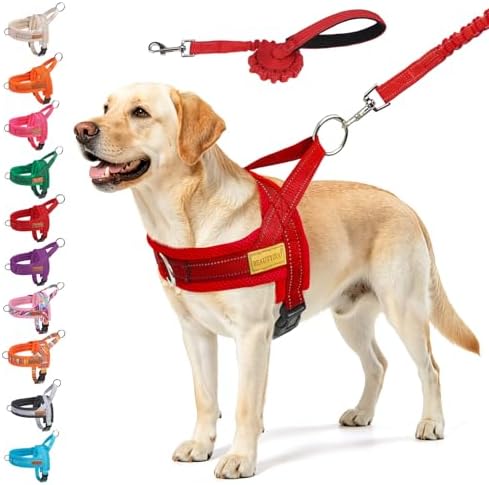 BEAUTYZOO Dog Harness for Large Dogs,No Pull Step in Pet Vest and Leash Set by BEAUTYZOO