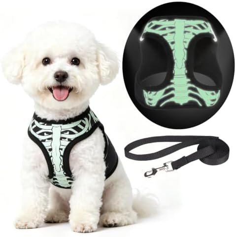 KOOLTAIL Halloween Dog Harness and Leash Set for Small Medium Dogs,Step in No Pull Soft Mesh Comfort Padded Pet Vest Harness,Glow-in-Dark Skeleton Design Easy Walking Puppy&Cat Harness for Holiday S by KOOLTAIL