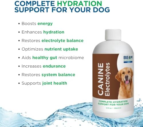 BEAM Minerals Complete Canine Electrolytes | 12 fl Oz - Image 6