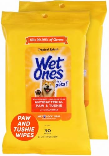 Wet Ones Dog Wipes, Pack of 2, 30 Count Total | Paw & Tushie | Tropical Splash Scent | Wet Lock Seal Pouch | With Chamomile by WetOnes