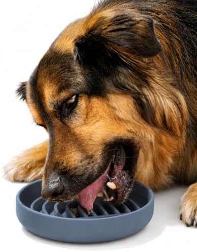 Slow Feeder Dog Bowl - Silicone Dog Bowl, Medium, 7.5" x 1.5" - Ocean by ShouldWeGo