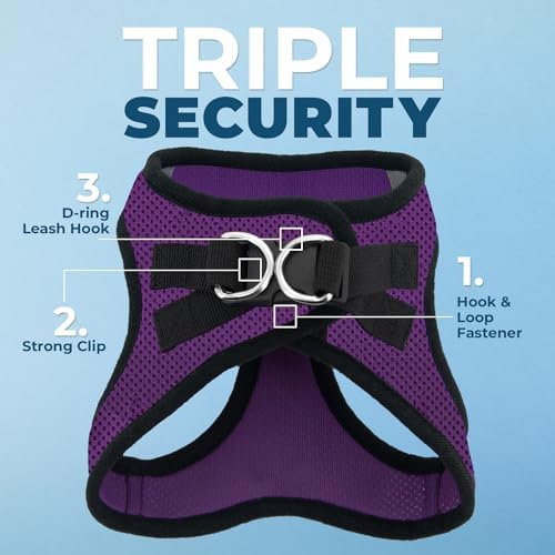Best Pet Supplies Voyager Step-in Air All Weather Mesh Harness and Reflective Dog 5ft Leash Combo with Neoprene Handle, for Small, Medium and Large Breed Puppies - Purple/Black Trim, Medium - Image 2