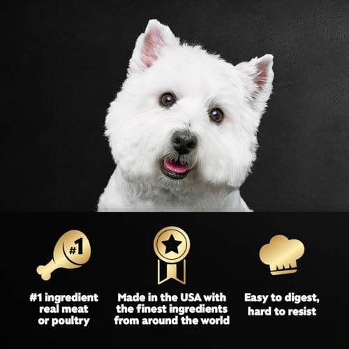 Cesar Classic Loaf in Sauce Wet Dog Food, Variety Pack, 3.5 oz, 60 Count - Image 2
