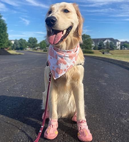 QUMY Dog Shoes for Hot Pavement, Dog Snow Boots & Paw Protectors for Winter - Image 6