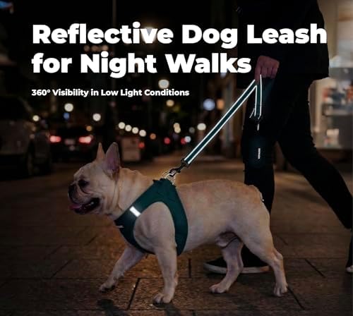 Best Pet Supplies Voyager Nylon Dog Leash - Blue, Medium - Image 4