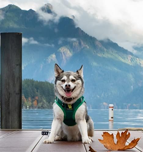 EcoBark Luxury Step in Mesh Dog Harness for Small Dogs, Forest Green - Image 5