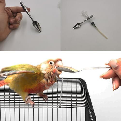 10pcs Parrot Feeding Tools Bird Parrot Feeding Tubes Food Syringe - Image 3