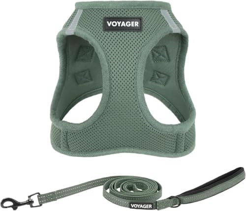 Best Pet Supplies Voyager Step-in Air All Weather Mesh Harness and Reflective Dog 5ft Leash Combo with Neoprene Handle, for Small, Medium and Large Breed Puppies - Moss Green, Small by BestPetSuppliesLLC
