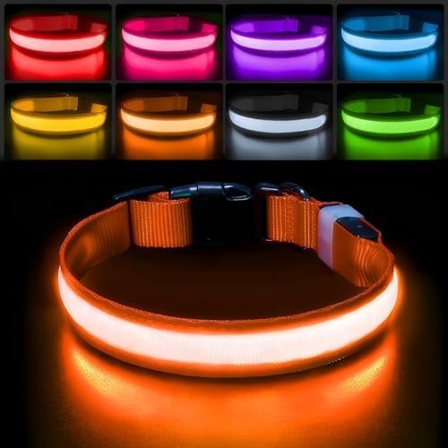 PcEoTllar Light up Dog Collar, for Night Walking, Adjustable, Orange, M by PcEoTllarPetSupplies