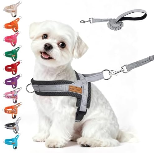 BEAUTYZOO Small Dog Harness and Leash Set, No Pull Step in Puppy Vest by BEAUTYZOO
