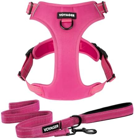 Voyager Dog Harness Dual Leash Attachment No-Pull Control Adjustable Soft but Strong Pet Harness for Medium and Large Dogs with 3M Reflective Technology, Leash Set Fuchsia Nylon, M (Chest: 20-25") by BestPetSuppliesLLC