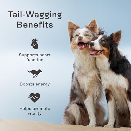 PawCo Dog Food Toppers for Picky Eaters, Heart Health – Supports Heart Function & Energy – Functional Dog Food Flavor Enhancer with Pumpkin, Carrots, & Taurine for Dogs – Magic Topper – 5.6oz - Image 2