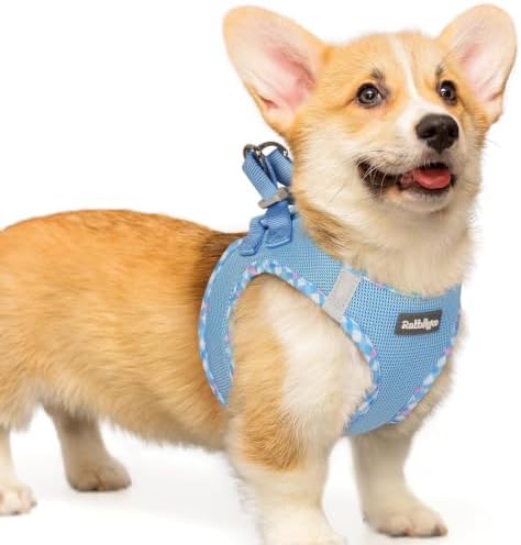 rabbitgoo Step-in Small Dog Harness, Puppy Vest for Small Medium Sized Pet by rabbitgoo