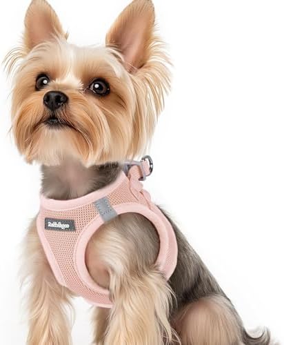 rabbitgoo Step-in Small Dog Harness, Puppy Vest for Small Sized Pet by rabbitgoo
