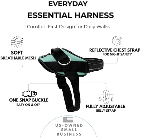 ShawnCo Essential Dog Harness, No-Pull Pet Vest (Seafoam,M) - Image 2