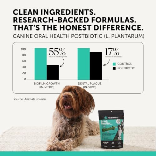 Pet Honesty Brush Buddies Vet Backed Dog Dental Chews, 15 Count - Image 5