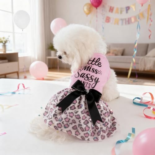 Little Miss Sassy Pants Dog Dress with Leopard Print Bowknot Dog Clothes for Small Medium Large Dogs Girls Boys Cats Outfit Apparel - Image 3