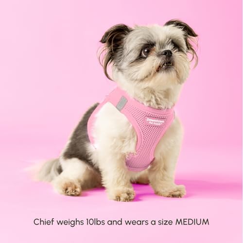 Downtown Pet Supply Step in Dog Harness for Small Dogs - Adjustable, Escape Proof Dog Harness with Reflective Trim - All-Weather, Fast-Drying Padded Mesh Fabric - Baby Pink, XXS - Image 2