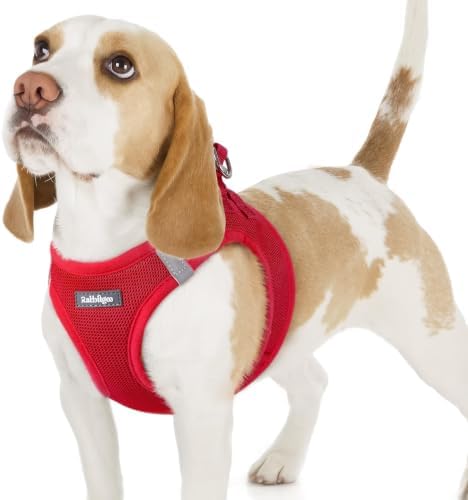rabbitgoo Step-in Small Dog Harness, Puppy Vest for Small Sized Pet by rabbitgoo
