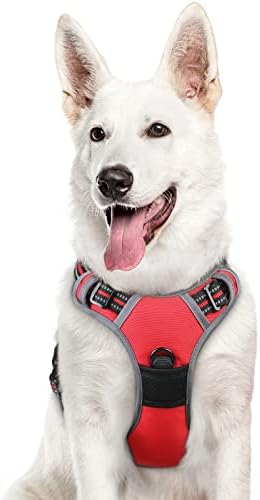 Eagloo Dog Harness for Large Dogs, No Pull Pet Vest with 2 Leash Clips by GoExplorewithEagloo