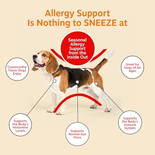 Zesty Paws Dog Allergy Chews - Dog Allergy Relief, Lamb, 90 Ct - Image 3