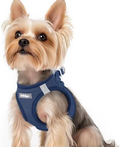 rabbitgoo Step-in Small Dog Harness, Puppy Vest for Small Sized Pet by rabbitgoo
