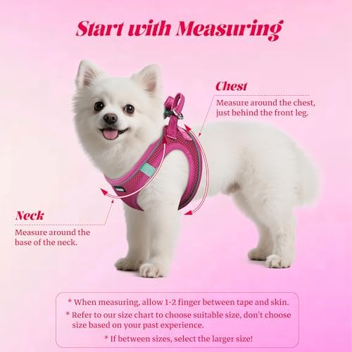 No Pull Dog Puppy Harness and Leash Set Reflective Mesh Vest Small - Image 2