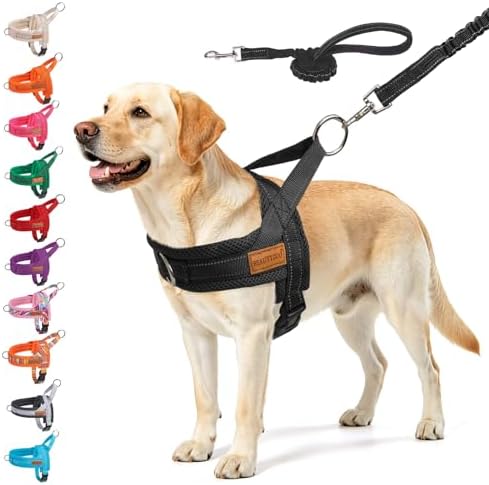 BEAUTYZOO Dog Harness for Large Dogs,No Pull Step in Pet Vest and Leash Set by BEAUTYZOO