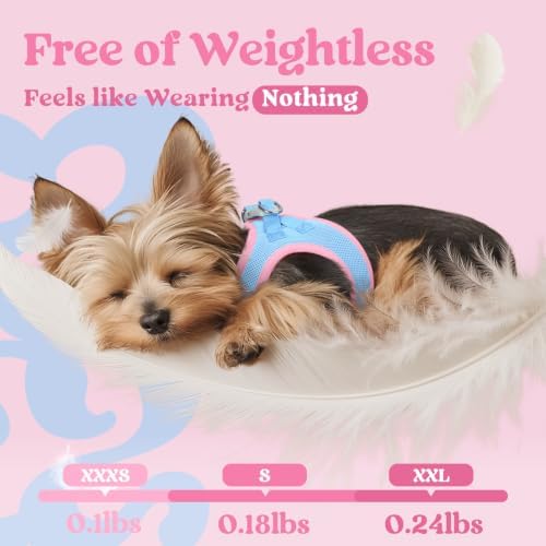 rabbitgoo Step-in Small Dog Harness, Puppy Vest for Small Sized Pet - Image 5