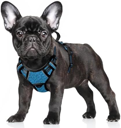 BARKBAY Dog Harness for Small Sized Dog No Pull Dog Vest ID Tag Pocket by BARKBAY