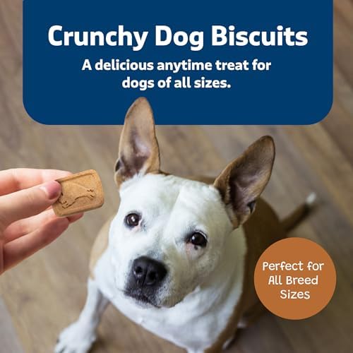 Blue Buffalo Health Bars Pumpkin & Cinnamon Crunchy Dog Biscuits, Oven-Baked with Pumpkin & Natural Ingredients, Healthy Dog Treats with No Artificial Flavors or Preservatives, 16 oz. (Pack of 4) - Image 6