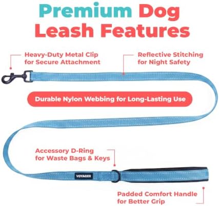 Best Pet Supplies Voyager Nylon Dog Leash - Sky Blue, Medium - Image 2