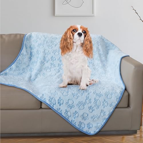 Stuffed Dog Blanket, Premium Soft Throw Flannel Fleece Blanket for Medium Small Dogs, Pet Puppy Blankets for Kitten Cat, Christmas Pet Gift for Bed Cover, Couch, Crate (42x66 inch (Pack of 1)) by STUFFED