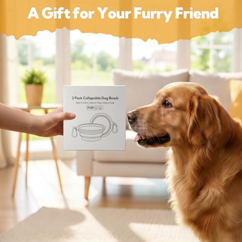 Collapsible Dog Bowl Large 34oz, Travel Dog Water Bowl Portable - Image 4