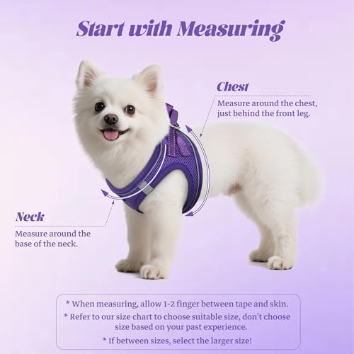 No Pull Dog Puppy Harness and Leash Set Reflective Mesh Vest XX-Small - Image 2