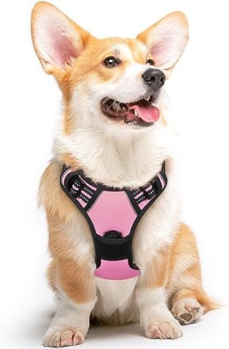 Eagloo Dog Harness for Medium Sized Dogs, No Pull Vest with 2 Leash Clips by GoExplorewithEagloo