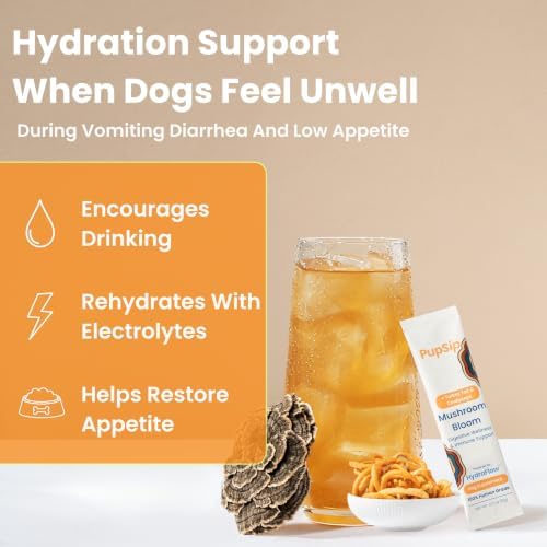 Dog Hydration Support – Helps During Stomach Upset, Vomiting & Diarrhea – Restores Appetite & Boost Energy with Electrolytes and Turkey Tail Mushroom, 14 Sticks - Image 2