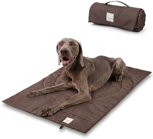 Lightly Padded Roll-Up Travel Dog Mat Settle & Place Training by Unknown