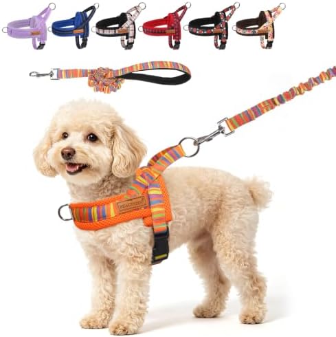 BEAUTYZOO Dog Harness Medium Sized and Leash Set, No Pull Step in Pet Vest by BEAUTYZOO