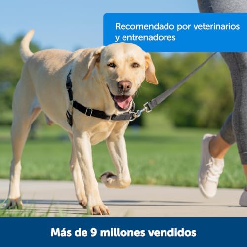 PetSafe Easy Walk Harness, No Pull Dog Harness, Royal Blue, Small/Medium - Image 3