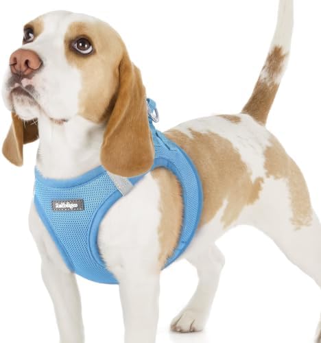 rabbitgoo Step-in Small Dog Harness, Puppy Vest for Small Sized Pet by rabbitgoo