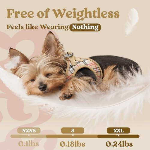 rabbitgoo Step-in Small Dog Harness, Puppy Vest for Small Sized Pet - Image 5