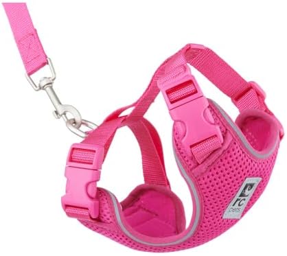 RC Pets Adventure Kitty Harness Includes Adjustable, Airmesh Fabric, 6' Leash and D-Ring Cat Walking Harness | Raspberry, Small by RCPets
