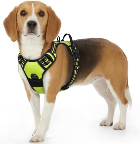 Eagloo Dog Harness for Small Dogs, No Pull Pet Vest with 2 Leash Clips by GoExplorewithEagloo