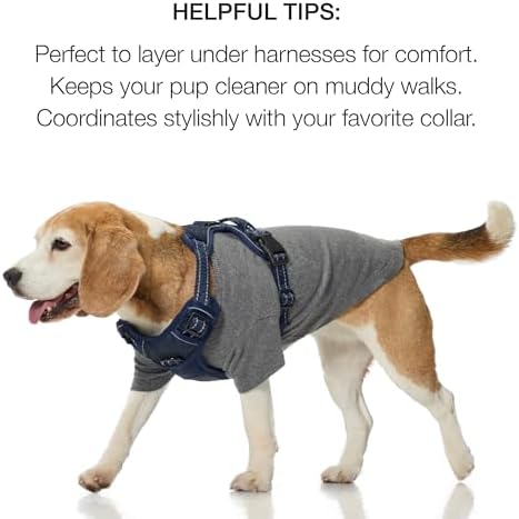 Pet Passion Rover Dog T-Shirt, Reversible, 2 Pack, Blue Sand, X-Small - Image 6