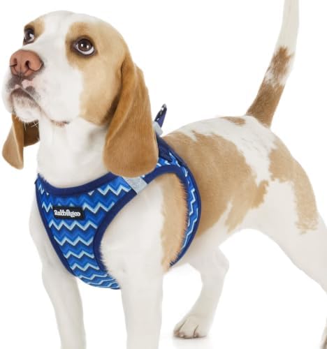 rabbitgoo Step-in Small Dog Harness, Puppy Vest for Small Sized Pet by rabbitgoo