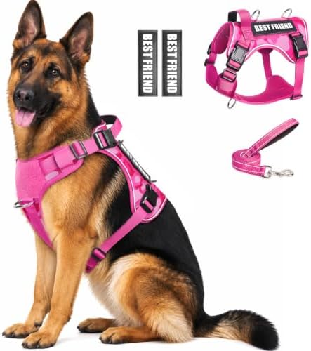 WINSEE No Pull Tactical Dog Harness with Leash Set with 2 Patches by WINSEE