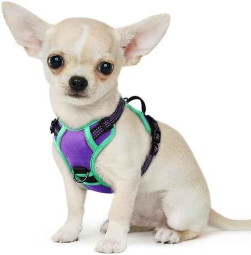 Eagloo Dog Harness for Small Dogs, No Pull Pet Vest with 2 Leash Clips by GoExplorewithEagloo